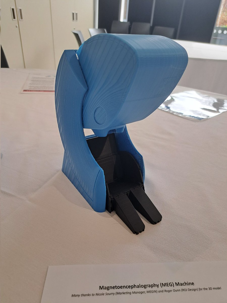 SyanahWynn's tweet photo. MRI and MEG 3D models for #BrainAwarenessWeek displayed at our #UoBBAW event, provided by the grant from @FENSorg and @dana_fdn ! https://t.co/OnHJWqA0DW