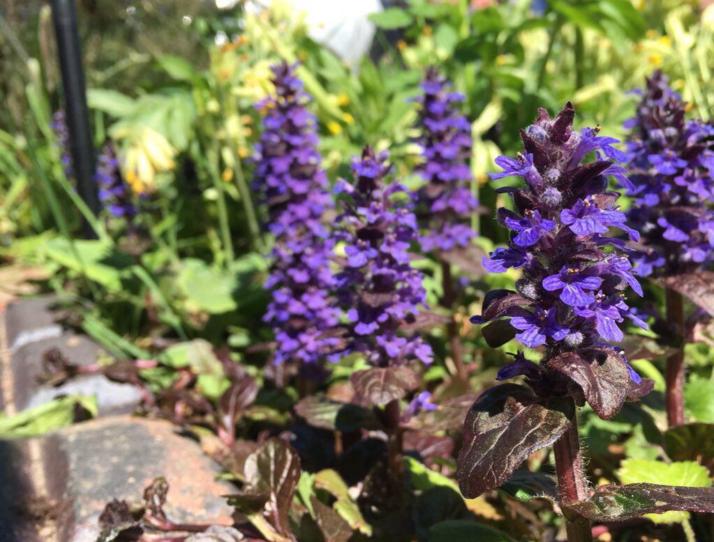 Today is the Equilux!

Day and night of equal length

From today, the days will be longer than the nights

We will gain around half an hour of extra daylight every week through to late April

Let’s find some nice Spring warmth