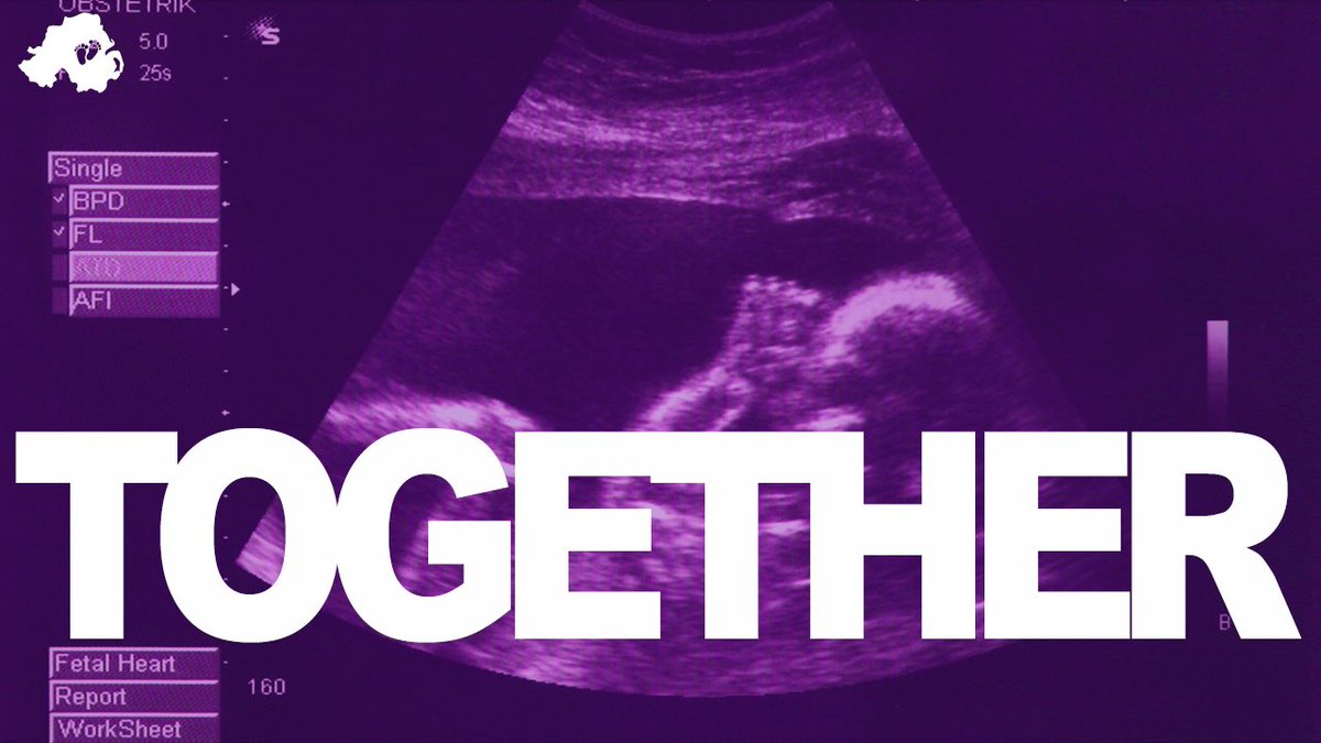 ❕ONE WEEK TODAY ❕Let’s stand TOGETHER next Saturday 25th March 4pm Stormont Estate to remember the unborn lives lost to abortion here. Let’s stand together for a society where EVERY human life is valued and no death is chosen. #NIvoiceless #TheyCannotSpeak #StandTogether