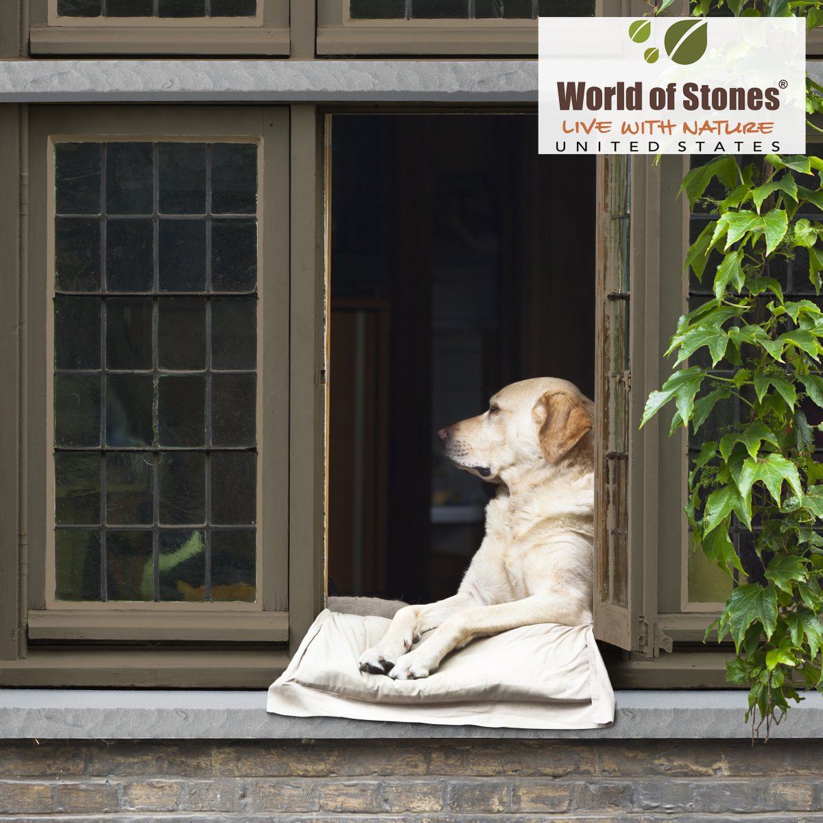 WorldoStonesUSA's tweet image. Add a distinctive decorative element and provide a solid base to your window frame with our stunning collection of Castle Grey Sills. Make a statement in your outdoor space with the striking, bold, and cool grey color.
#worldofstonesusa #sills #windowsills #elledecor  #castlegrey