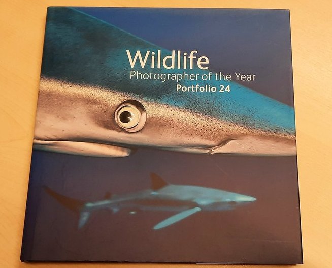OrkneyLibrary's tweet photo. sharks are less menacing if you give them a googly eye https://t.co/xZkIXTc7ng