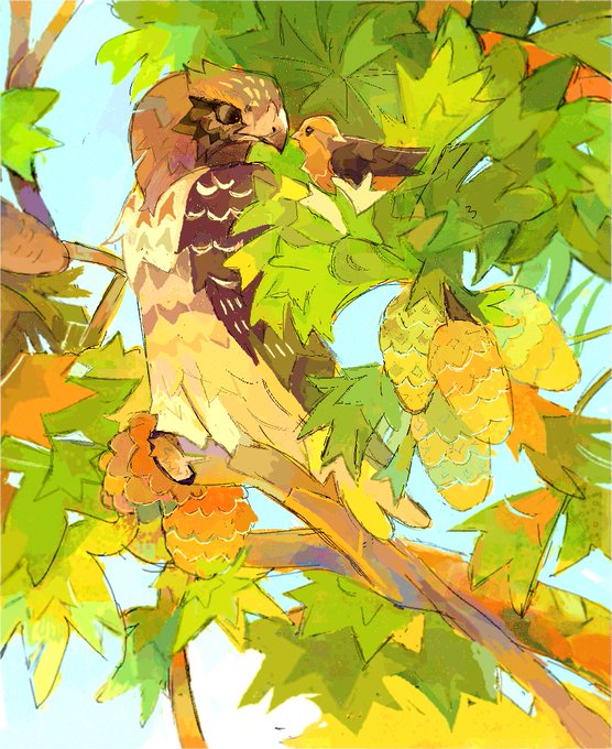 「beak branch」 illustration images(Latest)