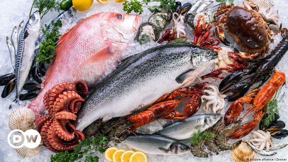 acute_tomato's tweet photo. Scientists slam plans for world's largest octopus farm ~ https://t.co/rFoQtdgv5t https://t.co/gwqFH4nXVq