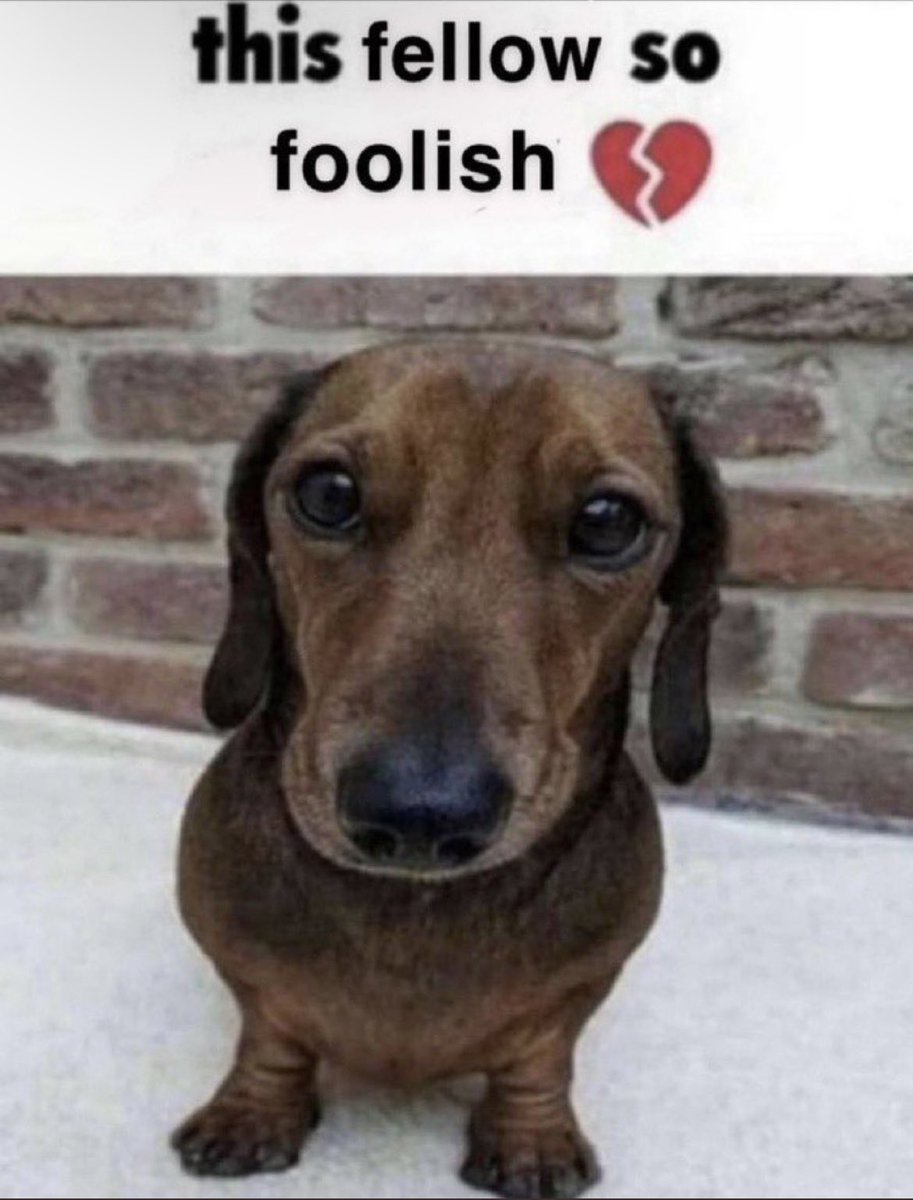 Excelerate tweet media