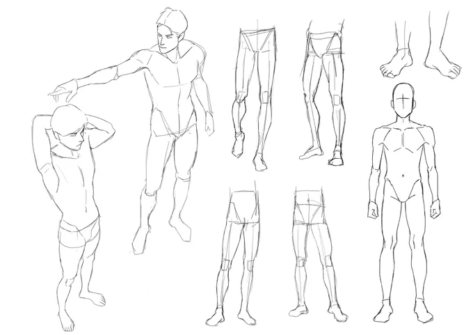 課題:男性の腰と脚の構造 