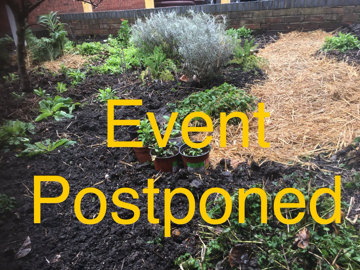 Edible High Town tweet media