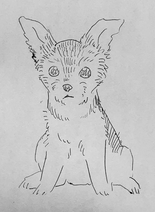 むぎちゃんまだ顔の周辺まで黒いから描いても似ないのかもしれない 
