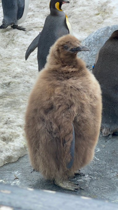 Twitterのコスプレ画像16