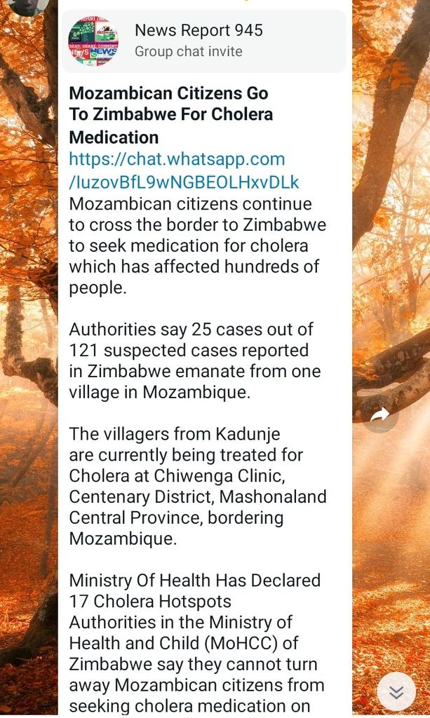 EvertonMutsauri's tweet photo. @daddyhope and other cuckoos who hate our nation will never comment positively on these happenings. They are always negative minded they don't see good ,only create lies.@2023_zim @MidlandsYL1 @kedha4ED https://t.co/r8nubwICZP