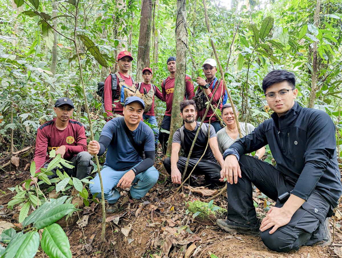 Adriane Tobias (@adrianetobias.bsky.social) (@adriane_tobias) on Twitter photo Proud to be part of a groundbreaking project propagating Rafflesia in the #Philippines!
With my supervisor, Prof. Malabrigo, and <a href="/thorogoodchris1/">Chris Thorogood</a>, we learned from Indonesian colleagues to prepare for this attempt.
Follow our progress and learn more at trib.al/k2SDKTl Proud to be part of a groundbreaking project propagating Rafflesia in the #Philippines!
With my supervisor, Prof. Malabrigo, and <a href="/thorogoodchris1/">Chris Thorogood</a>, we learned from Indonesian colleagues to prepare for this attempt.
Follow our progress and learn more at trib.al/k2SDKTl