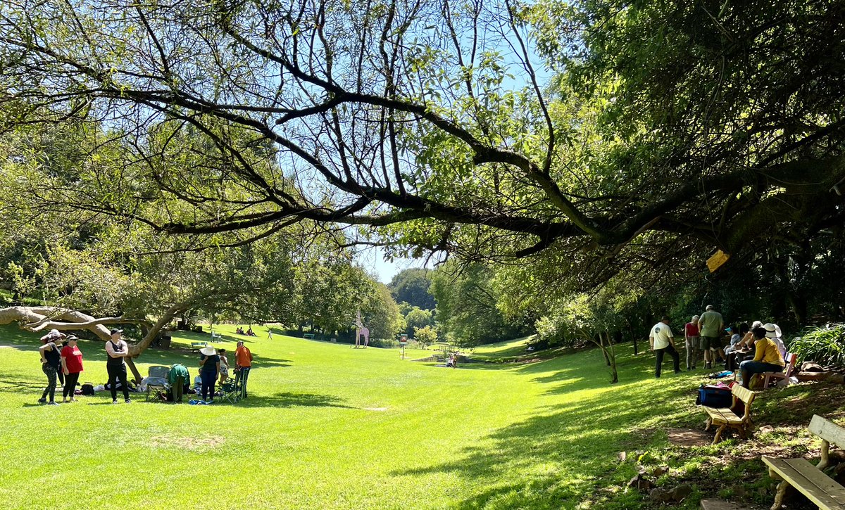 delaneyartist's tweet photo. Weekends at The Wilds, gentlest place in Joburg 💚 https://t.co/kZXlt2GdHW