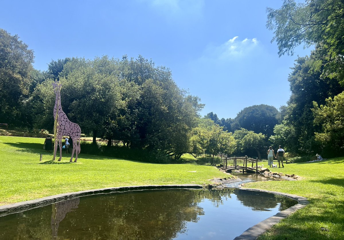 delaneyartist's tweet photo. Weekends at The Wilds, gentlest place in Joburg 💚 https://t.co/kZXlt2GdHW