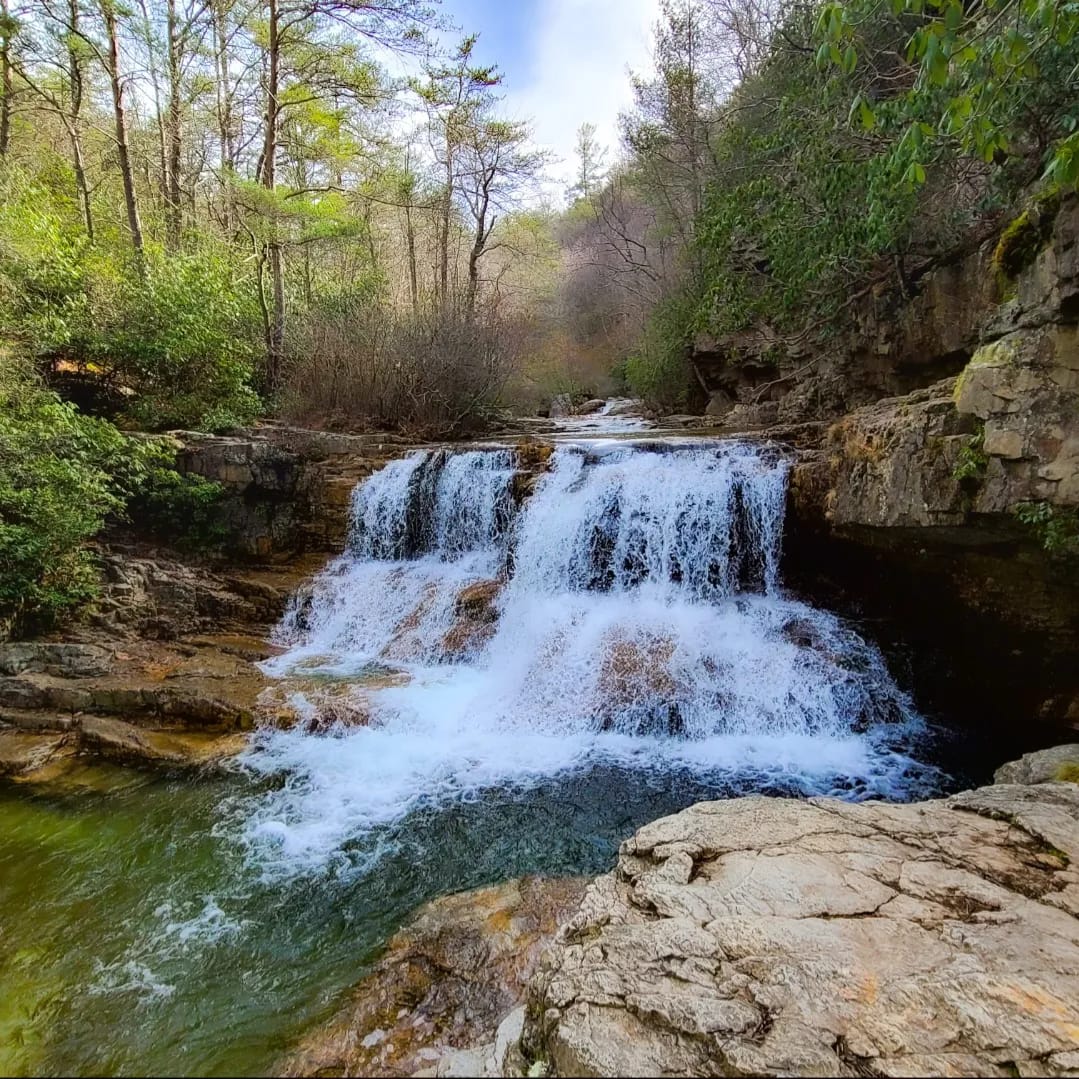 Thehappening_rc's tweet photo. DJ's Nature Adventures Mary's Wilderness Falls, Raphine VA
#naturephotography #natureisbeautiful #canonphotography #naturestagram #natureblogger #naturephoto #natureloversgallery #naturephotos #photography #natureofinstagram #nature #virginia #rockbridgecounty #hiking https://t.co/Y0wEVaSdO0