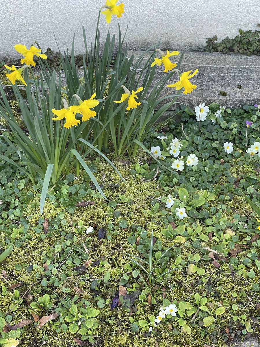 dzanumtvoj's tweet photo. welcome spring https://t.co/wRffifIsro