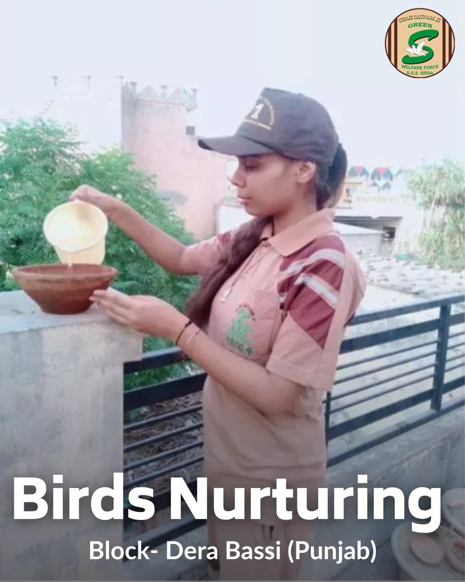 GreenSwelfares's tweet photo. As the temperature rises, birds are faced by tough survival challenge. So Shah Satnam Ji Green 'S' Welfare Force Wing volunteers keep water &amp; food on their rooftops, backyards or nearby parks so that the birds can survive during hot summer days. #Summer #BirdsNurturing https://t.co/ckctZ8NhLz