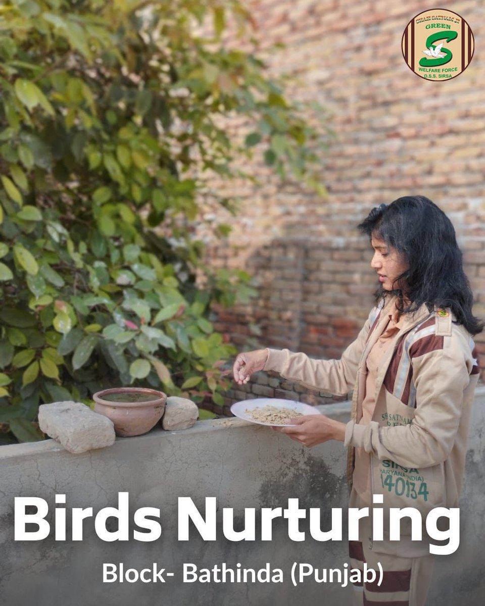 GreenSwelfares's tweet photo. As the temperature rises, birds are faced by tough survival challenge. So Shah Satnam Ji Green 'S' Welfare Force Wing volunteers keep water &amp; food on their rooftops, backyards or nearby parks so that the birds can survive during hot summer days. #Summer #BirdsNurturing https://t.co/ckctZ8NhLz