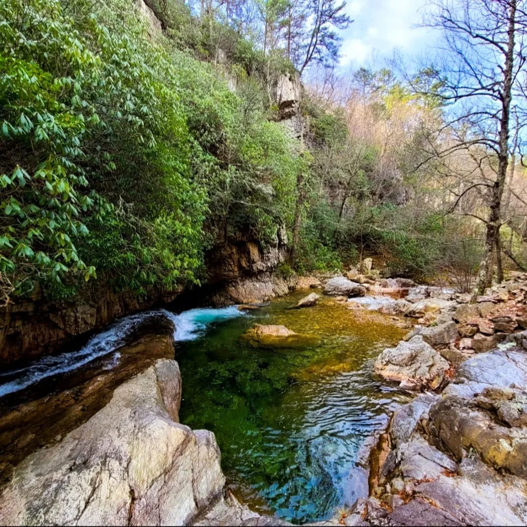Thehappening_rc's tweet photo. DJ's Nature Adventures Mary's Wilderness Falls, Raphine VA
#naturephotography #natureisbeautiful #canonphotography #naturestagram #natureblogger #naturephoto #natureloversgallery #naturephotos #photography #natureofinstagram #nature #virginia #rockbridgecounty #hiking https://t.co/gY9nckkf2c
