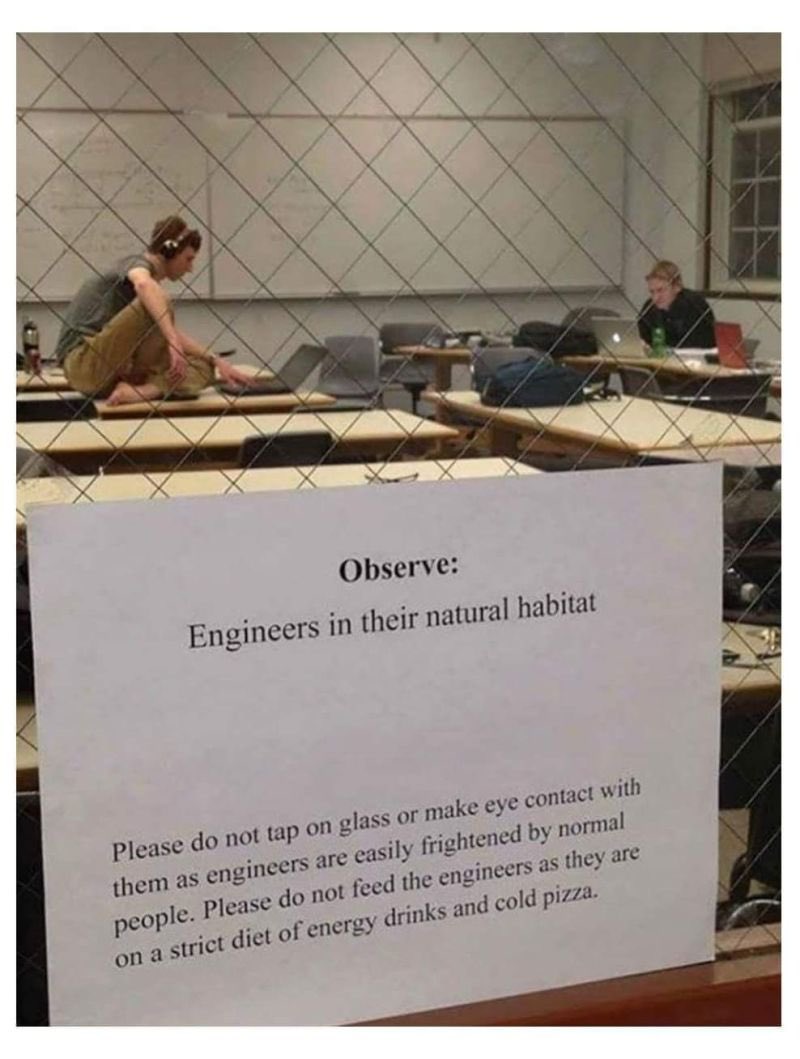 dogeofficialceo's tweet photo. @elonmusk https://t.co/ruIMIWf1sX