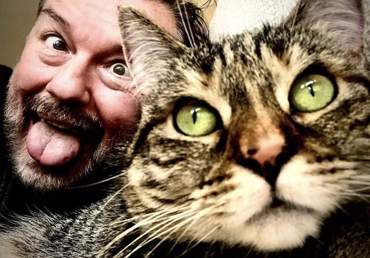 rickygervais's tweet photo. Have a great day! https://t.co/yoMwB3QCTA