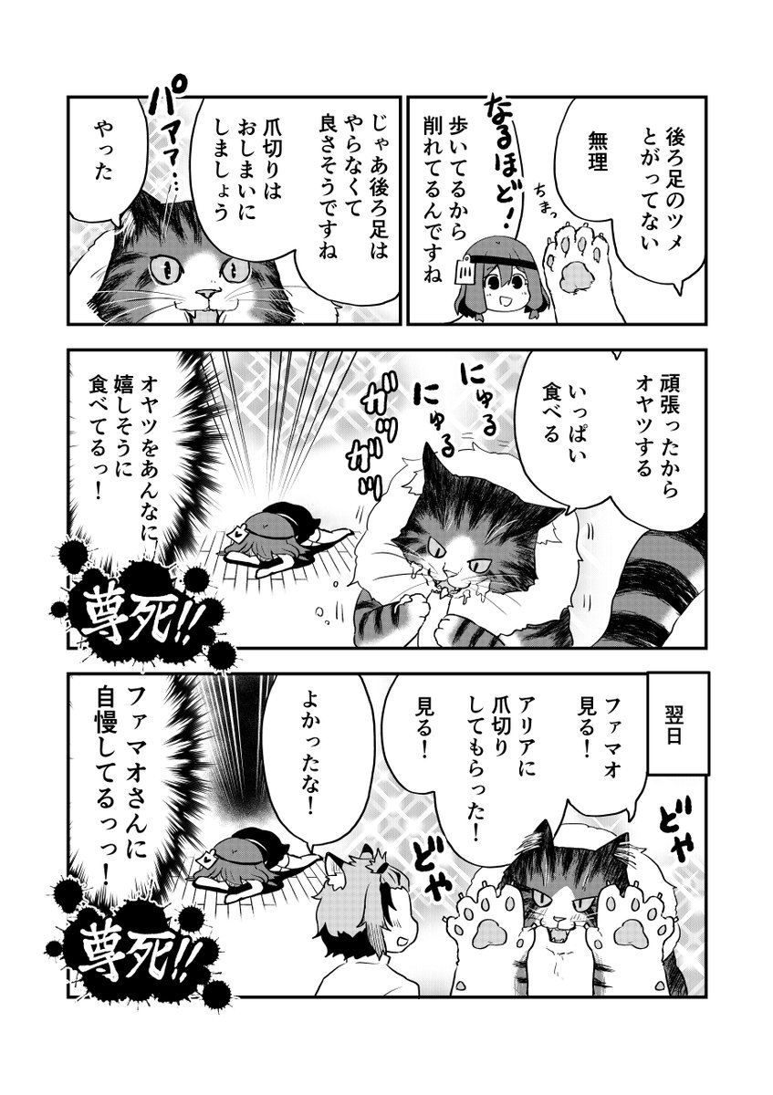 3/3 