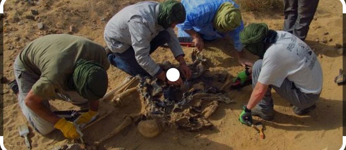 Mohammed_6_M6's tweet image. #الثورة_هي_الحل الانقلاب على نظام فاسد ومفسد👑🇲🇦 سيطر على ثروات #المغرب وافترسها شرد العباد واغرق البلاد في ديون لا تحصى ولا تعد. 
ادعو الشعب الصحراوي والمغربي والريفي واحرار العالم لرفع دعوى بالمحكمة الجنائية ضد محمد السادس ونظامه لارتكابه جرائم ضد الإنسانية. 
#إرحل_يا_سادس