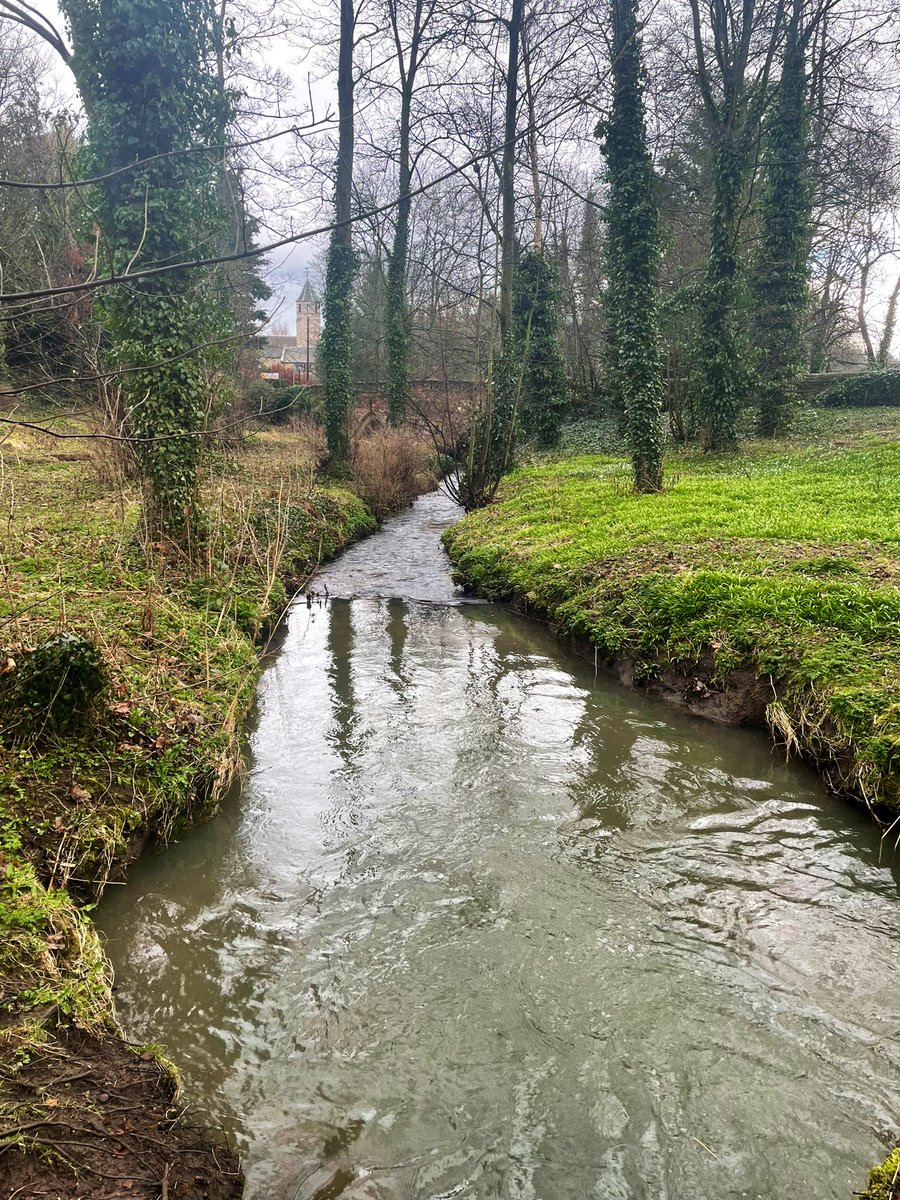 chriswinedoctor's tweet photo. Saturday dog walk (occasional dog run). Spring is just beyond the weekend! #spring #walking #dogs #dogsofwine #riverwalk https://t.co/tZttKKRF3r