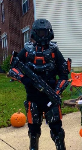 Bengalorian tweet media