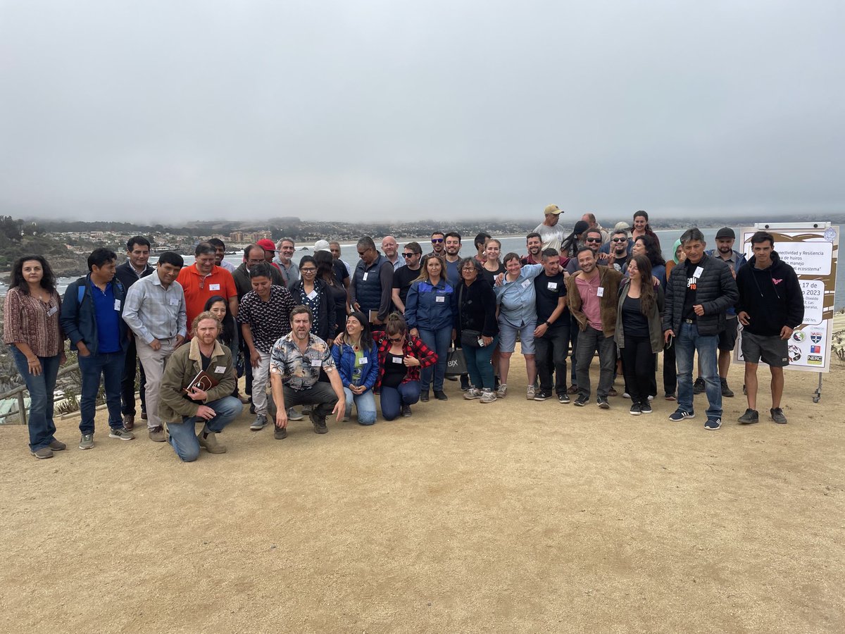 Pippa_J_Moore's tweet image. Great end to ⁦@KELPER_Project⁩ workshop. Loads of great discussions between fishers, scientists, fisheries managers &amp;amp; NGOs on how to better manage kelp harvesting in Chile &amp;amp; Peru ⁦@UKinChile⁩ ⁦@UKinPeru⁩ ⁦@NERCscience⁩ 🇬🇧 🇵🇪 🇨🇱