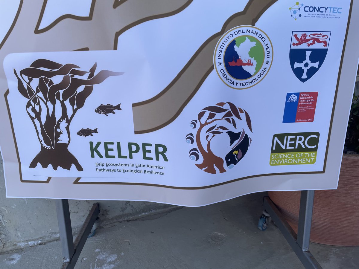 Pippa Moore (@pippa_j_moore) on Twitter photo Great end to <a href="/KELPER_Project/">KELPER Project</a> workshop. Loads of great discussions between fishers, scientists, fisheries managers & NGOs on how to better manage kelp harvesting in Chile & Peru <a href="/UKinChile/">UK in Chile 🇬🇧🇨🇱</a> <a href="/UKinPeru/">UK in Peru 🇬🇧🇵🇪</a> <a href="/NERCscience/">Natural Environment Research Council</a> 🇬🇧 🇵🇪 🇨🇱 Great end to <a href="/KELPER_Project/">KELPER Project</a> workshop. Loads of great discussions between fishers, scientists, fisheries managers & NGOs on how to better manage kelp harvesting in Chile & Peru <a href="/UKinChile/">UK in Chile 🇬🇧🇨🇱</a> <a href="/UKinPeru/">UK in Peru 🇬🇧🇵🇪</a> <a href="/NERCscience/">Natural Environment Research Council</a> 🇬🇧 🇵🇪 🇨🇱
