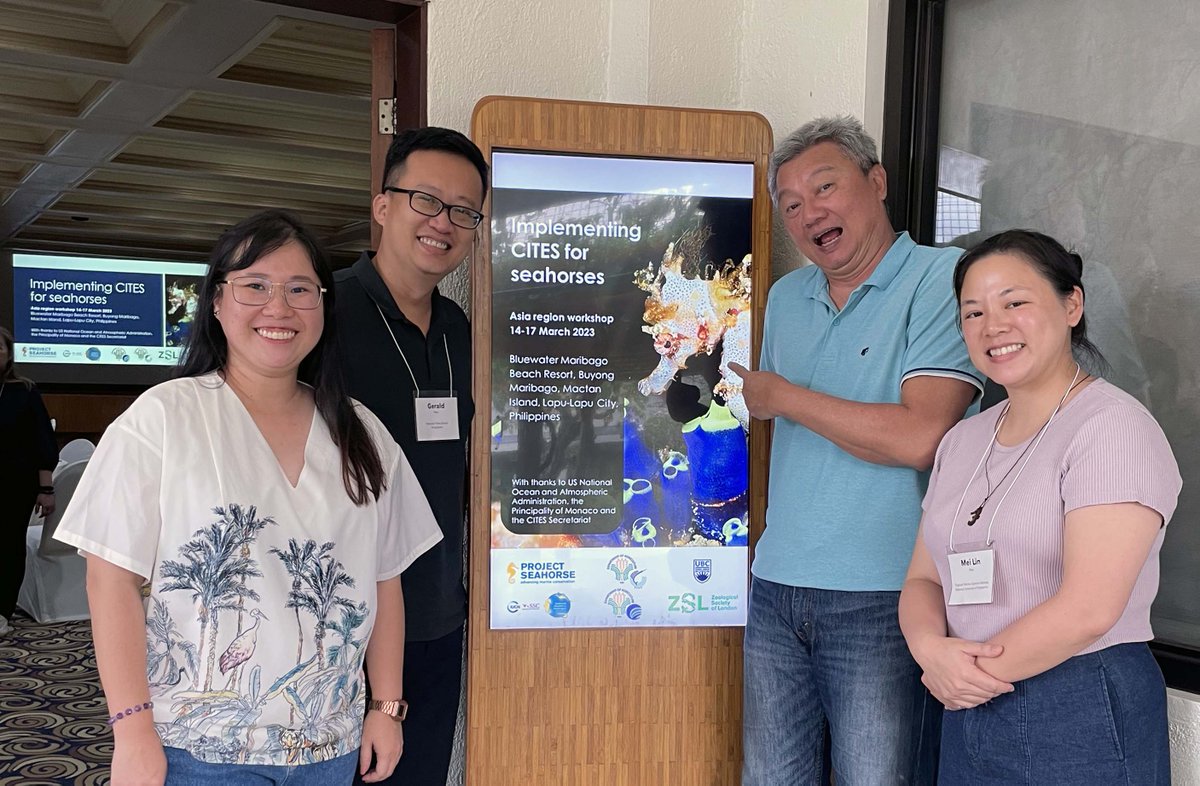 Mei Lin (@meilinneo) on Twitter photo Spent the week in beautiful sunny Cebu discussing the #CITES Implementation for #Seahorses organised by <a href="/projectseahorse/">Project Seahorse</a> <a href="/AmandaVincent1/">Amanda Vincent</a> <a href="/sjanefoster/">Sarah Foster</a>! Got to meet & hang out with seahorse nerds, as well as work colleagues. Thank you for the chance to be a part of this work! 🤙 Spent the week in beautiful sunny Cebu discussing the #CITES Implementation for #Seahorses organised by <a href="/projectseahorse/">Project Seahorse</a> <a href="/AmandaVincent1/">Amanda Vincent</a> <a href="/sjanefoster/">Sarah Foster</a>! Got to meet & hang out with seahorse nerds, as well as work colleagues. Thank you for the chance to be a part of this work! 🤙