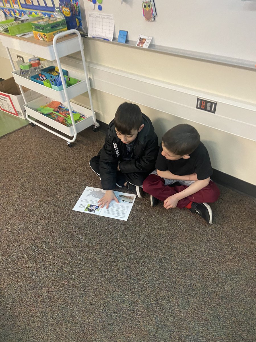 Using a reference book to learn about landforms in Science. These 2nd graders ROCK at working with partners. Ask your 2nd graders- what are landforms made of? 🪨 🏝️ 🏔️ 🏜️ <a href="/EnglemanGI/">Engleman Elementary</a>  <a href="/GIPublicSchools/">GIPS</a> <a href="/AnyaCovarrubias/">Anya Covarrubias</a>