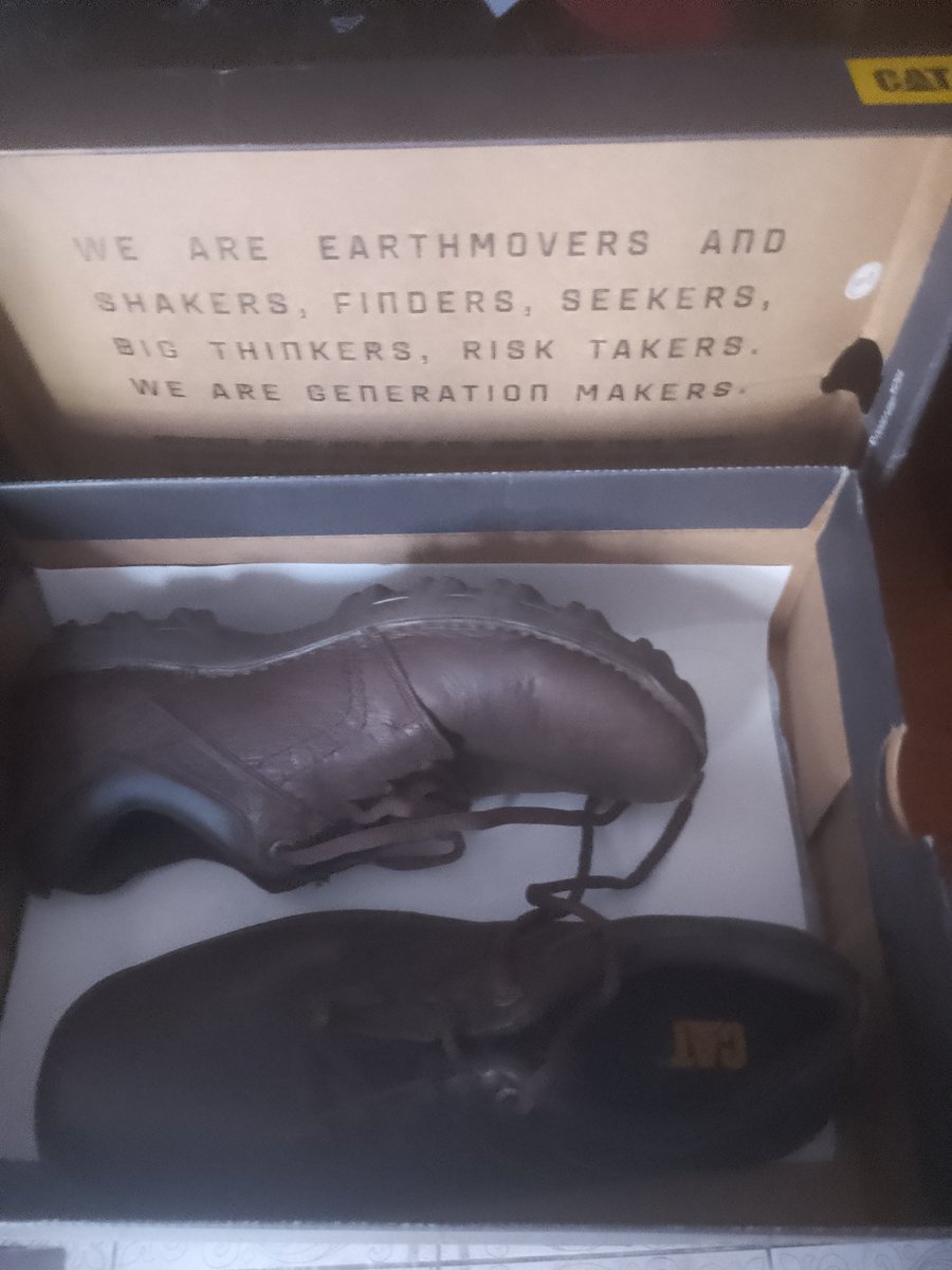 Fer ( Replicante) tweet media