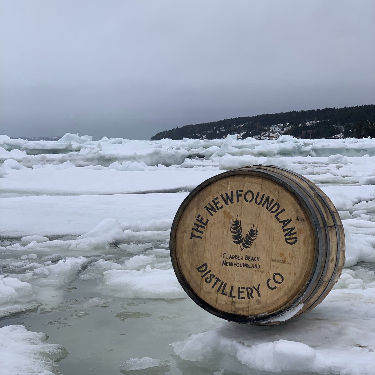 ‘The rollin’ of the sea is beckonin’ to me…’ The ice is rollin’ in Clarke’s Beach and it’s making us thirsty for a whisky on the rocks! Just 9 more months to wait!