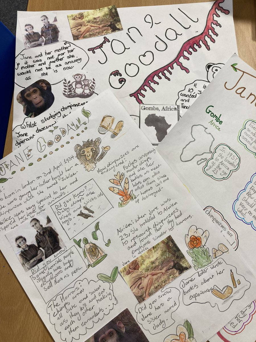 latimerprimary's tweet photo. #VC learnt all about Jane Goodall for #InternationalWomansDay2023 and #ScienceWeek what a truly inspirational woman. #SmashingStereotypes #LatimerScienceWeek @GECCollect https://t.co/zKFX7QjX2y