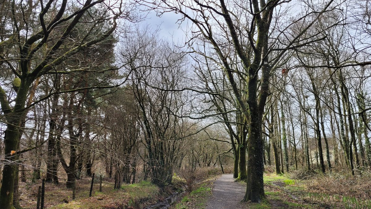 Steve Gane tweet media