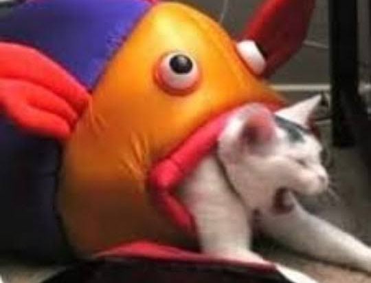 When you try to drown your demons but they know how to swim