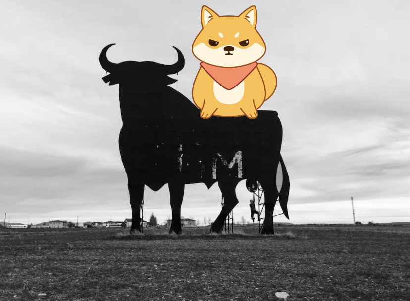 Are you BULLISH on $SHIB? 🤔