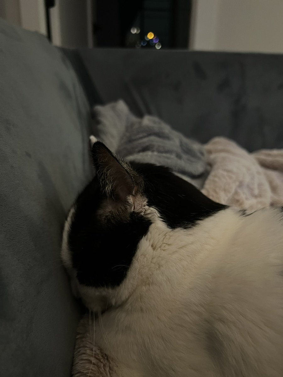 Denise. (@denisevlogs) on Twitter photo 