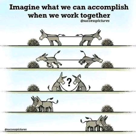 Mwombadavid's tweet photo. https://t.co/HWY1KsSzPY