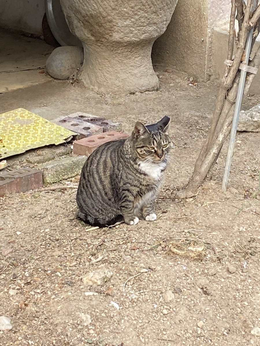 hsmw6 (@hsmw66) on Twitter photo 