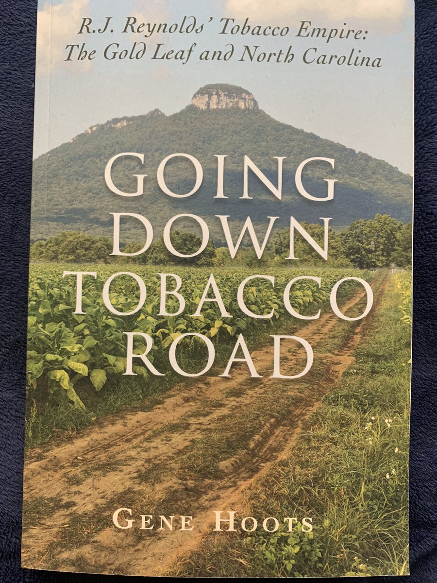 MT Capital tweet media