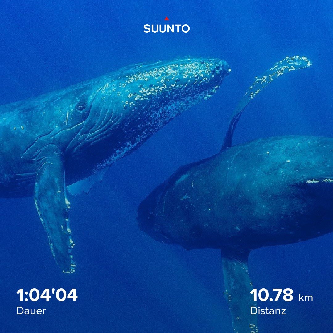 Eva Maleckova tweet media