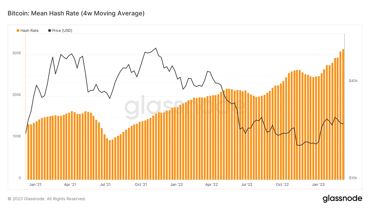 WClementeIII's tweet image. Bitcoin hash rate just casually reaching new all-time highs week after week