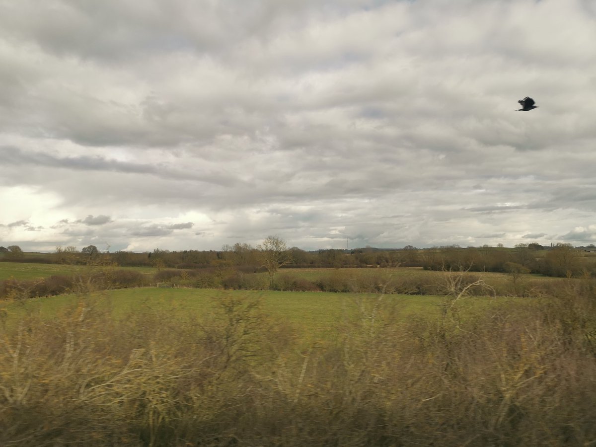 simonpjbest's tweet photo. Bird racing the train. #bird #traintweet https://t.co/FuKP7AOS0J