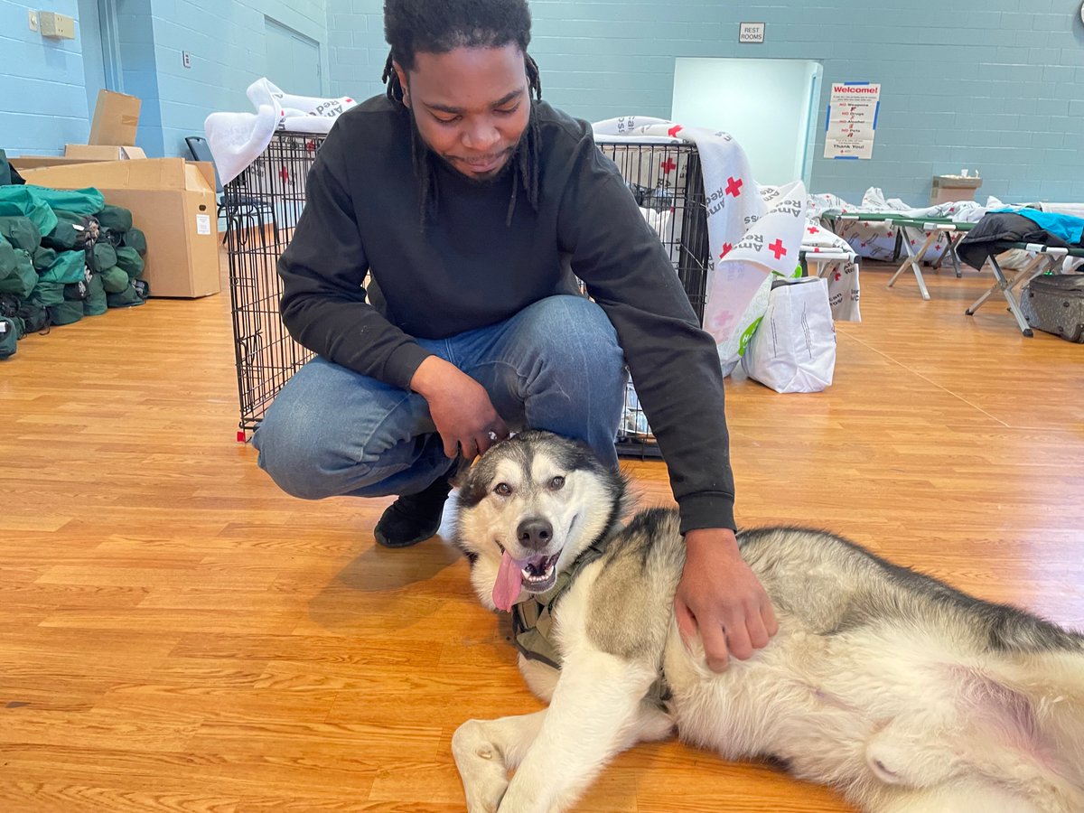 NJRedCross's tweet photo. Eliyaho &amp; Thunder were displaced last night from their long term hotel housing in #Whippany. After last night's fire, he was one of 57 people that stayed the night at our temporary shelter. Grateful for the Morris County Animal Rescue Team for assisting our furry shelter friends. https://t.co/Pm4JzMxvUo