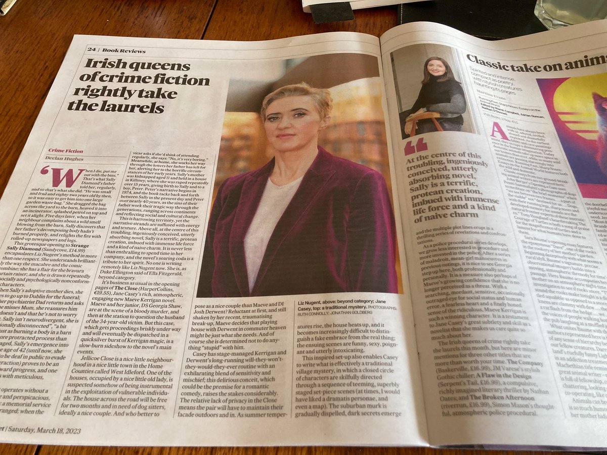 andysaibhcarter's tweet image. Well deserved, cracking reviews for @JaneCaseyAuthor and @lizzienugent in @IrishTimes today…