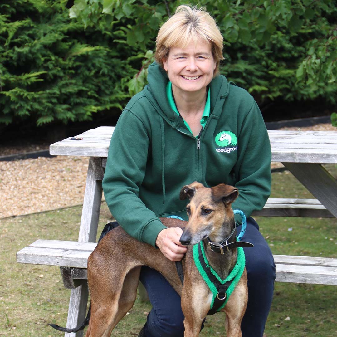 WoodgreenPets's tweet photo. ✨ Dog training methods explained ✨ With so much information out there, it can be hard to navigate the good, bad and not-so-good advice. Here’s everything you need to know about different training methods. https://t.co/IA6Goan9yq https://t.co/Fmb7F878I8