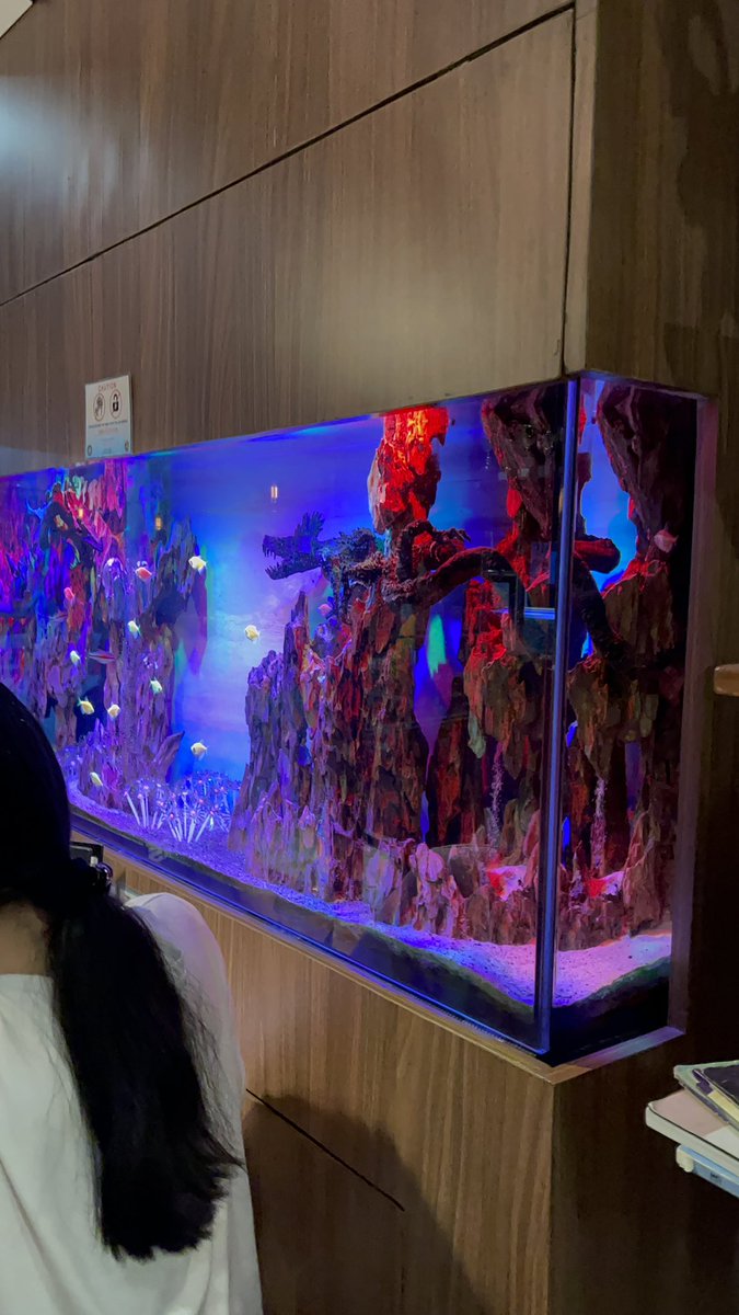 gastroadv_PH's tweet photo. Cafe Aquatica Philippines
Binondo, Manila

All of us love the ocean and fish, so it’s so obvious we wanted to go there. They have several aquariums on display with different kinds of fishes.
#gastronomicaladventures #gaph #wheretodrink #whattodrink #Binondo #cafe #aquatica https://t.co/tY6P8H4cLs