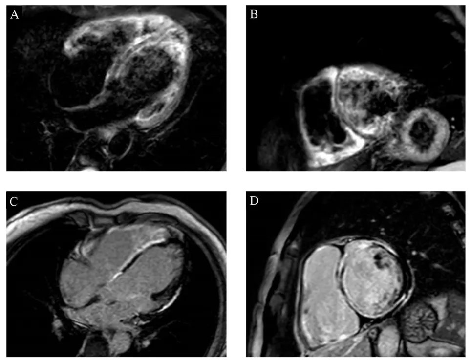 Italian Cardiologists Of Tomorrow tweet media