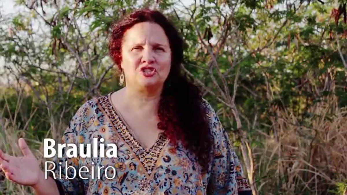 Teóloga Braulia Ribeiro critica argumentos de Gutierres e Yago sobre o 8 de janeiro dlvr.it/Sl5rkn